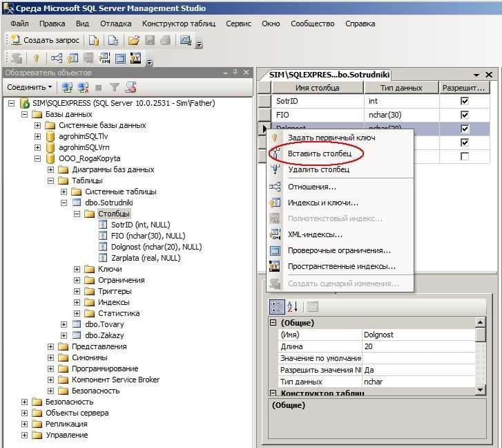 Создание таблицы sql. Таблица SQL Столбцы. База данных SQL Server таблицы. Таблицы из базы данных данных SQL. Как вставить таблицу MYSQL.