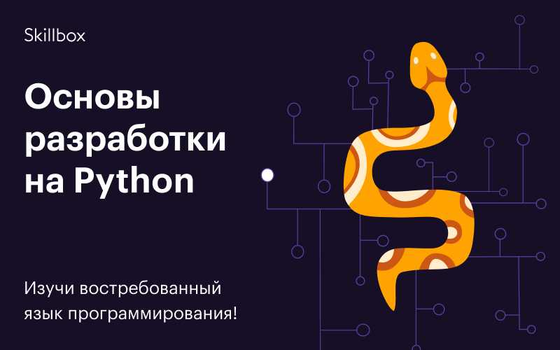 Python — краткий обзор языка и его назначения