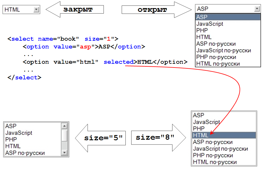 Текстовое поле html. Выпадающий список html. Формы раскрывающийся список в html. Тег select в html. Input с выпадающим списком.