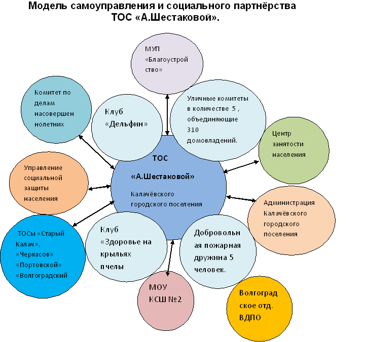 Модель общественной организации