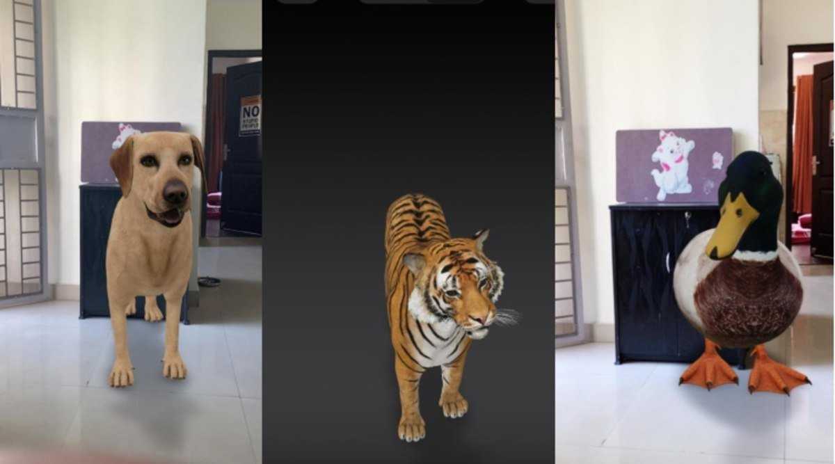 Три д животное. 3д животные гугл. Гугл животные в 3д тигр. Дополненная реальность животные. Тигр дополненная реальность.