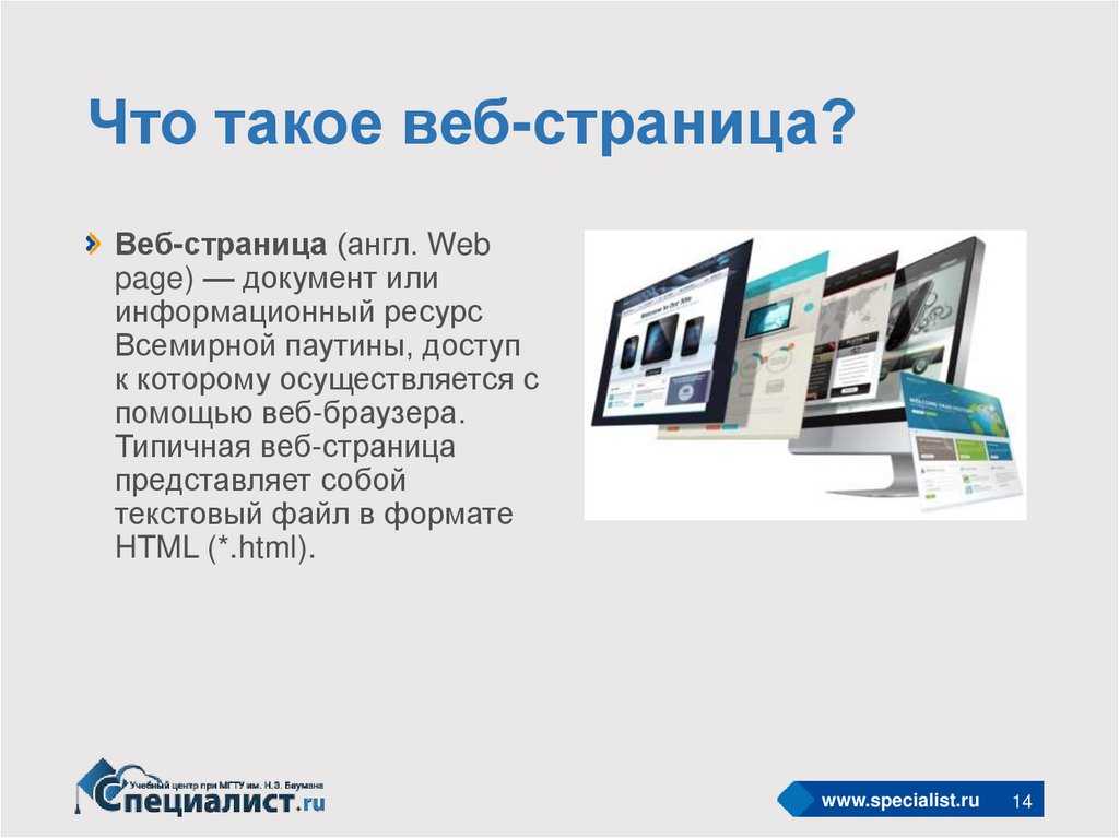 Презентация на тему веб разработка