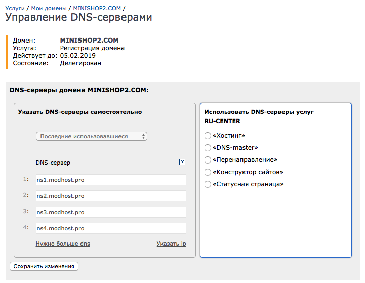 Параметры домена. DNS параметры домена. Настройка ДНС на домене. Прописать NS-сервера для домена.