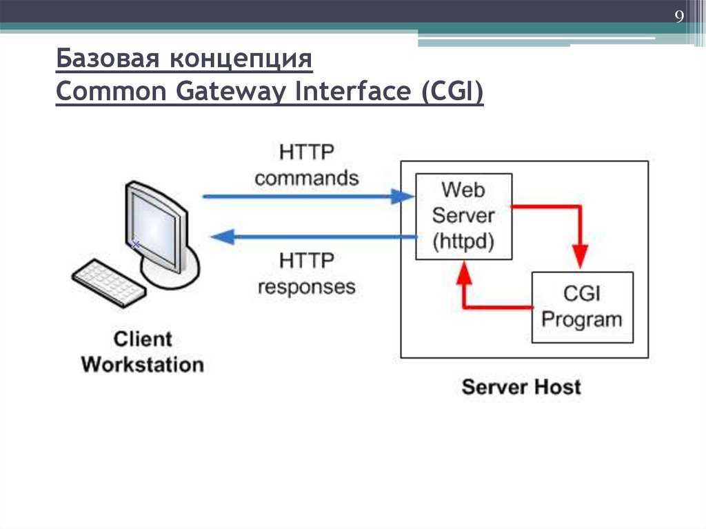 Стандарт cgi common gateway interface изначально был разработан для того, чтобы дать возможность пользователям запускать программы, доступные на сервере