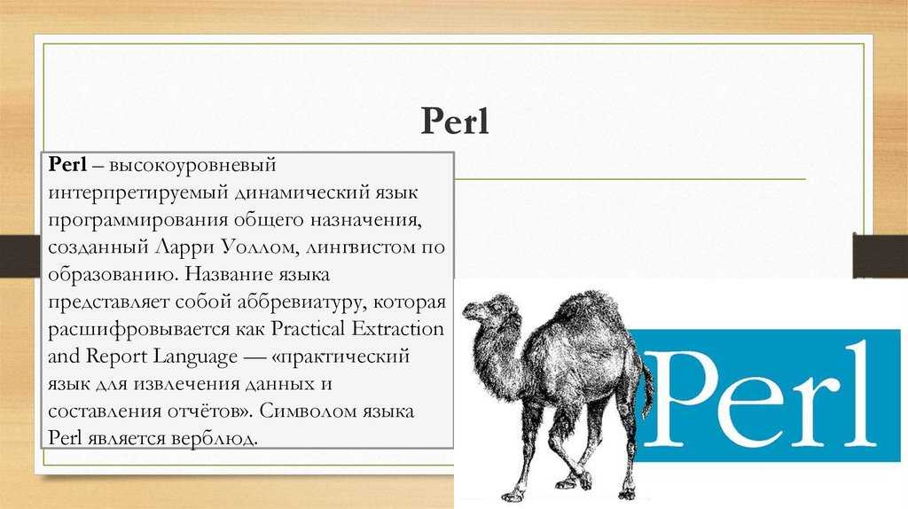 Язык программирования perl: история создания и ключевые особенности