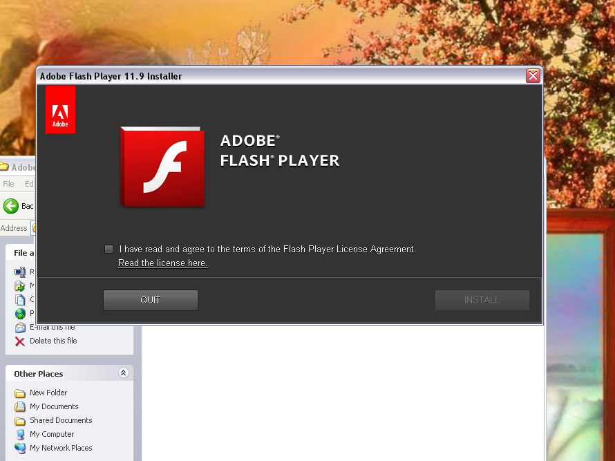 Adobe flash player on blacksprut даркнет darknet лента ру