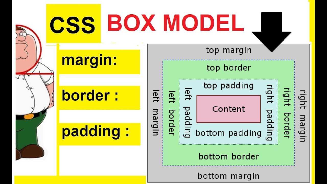 Div padding top. Margin CSS. Margin padding. Margin padding CSS. Html margin и padding.