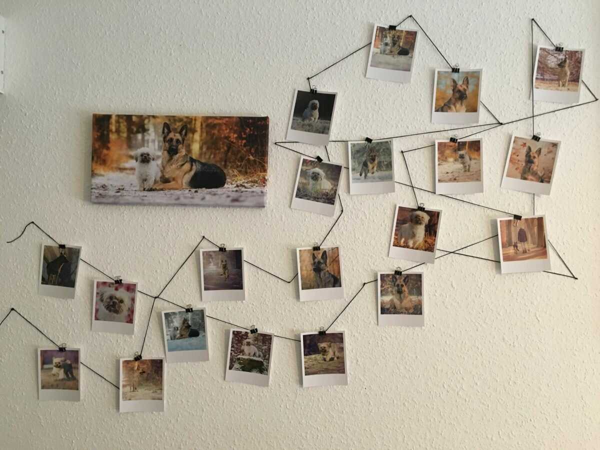 Как развесить фотографии на стене без рамок и гвоздей