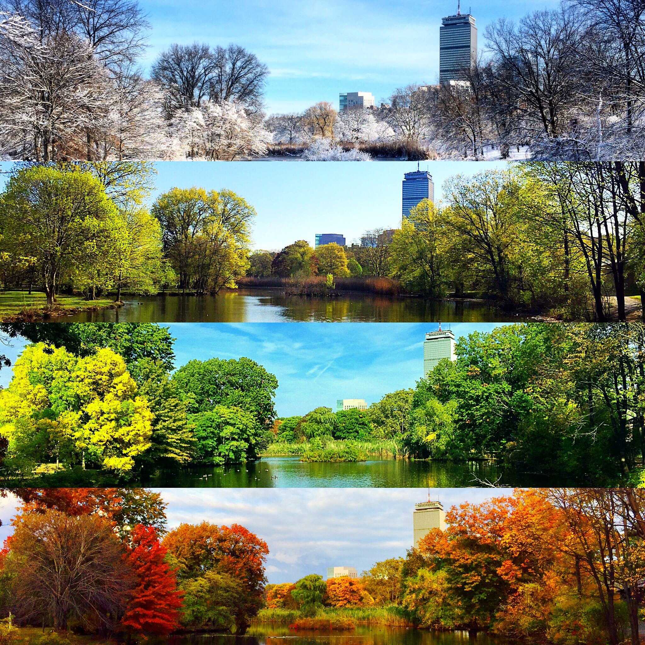 Картинки времена года. Времена года. Зима,Весна,лето,осень. Поры года картинки. Пейзаж в Разное время года.