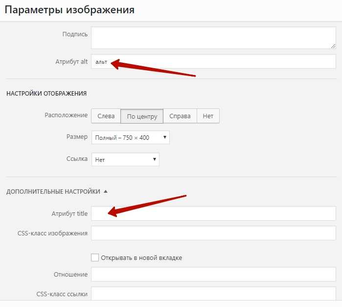 Атрибуты страницы wordpress – атрибуты страницы | wordpress.org русский — орфографика. перевод звука в текст