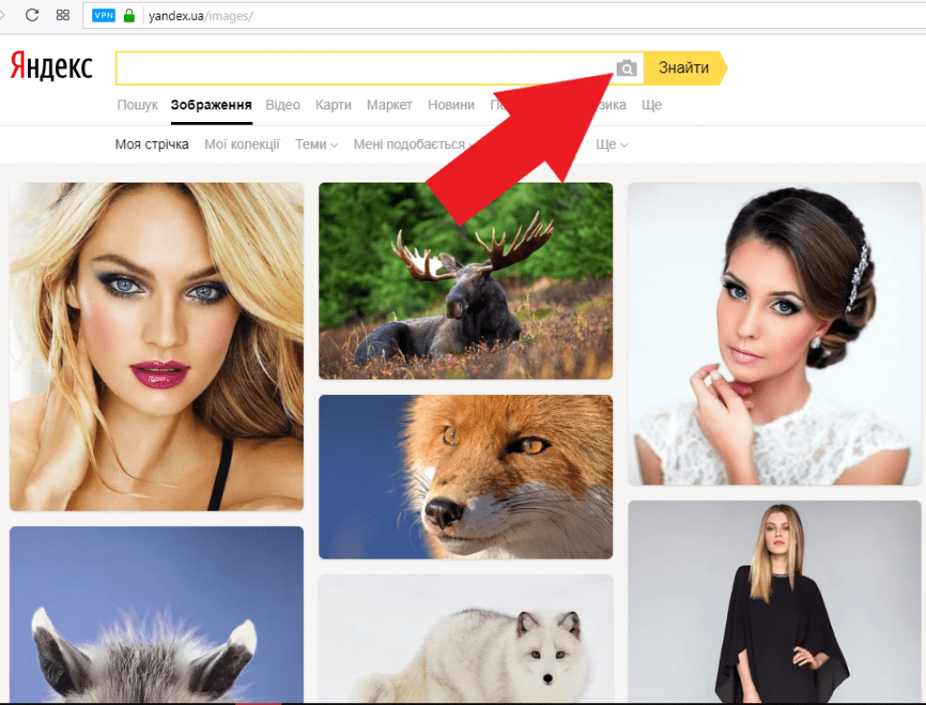 Поиск фото по картинке. Найти по картинке в Яндексе. Яндекс картинки поиск по картинке. По картинке. Яндекс по картинке.