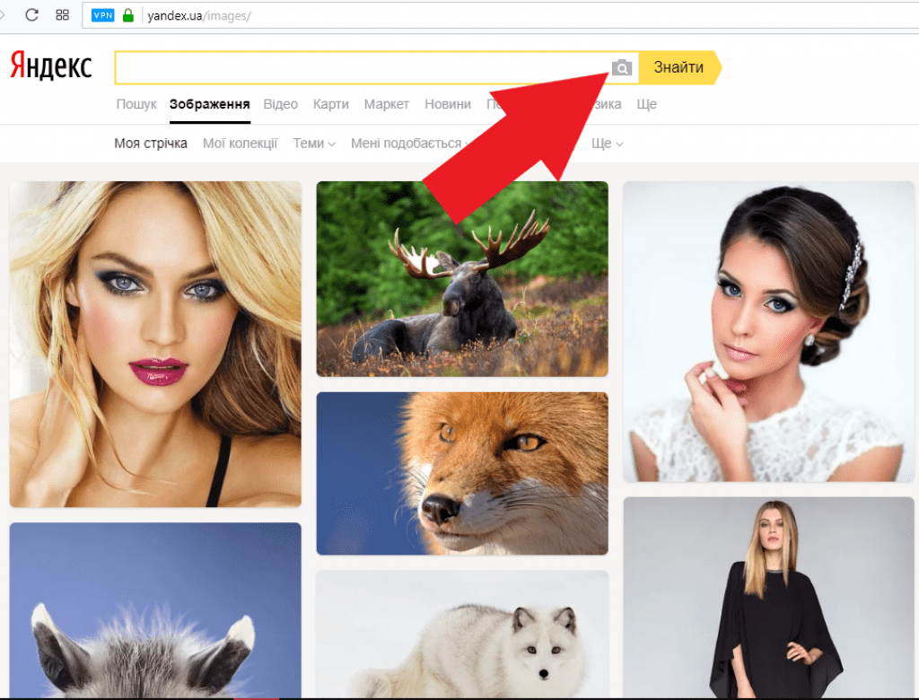 Поиск по картинке загрузить фото. Найти по картинке в Яндексе. Яндекс картинки поиск по картинке. По картинке. Яндекс по картинке.