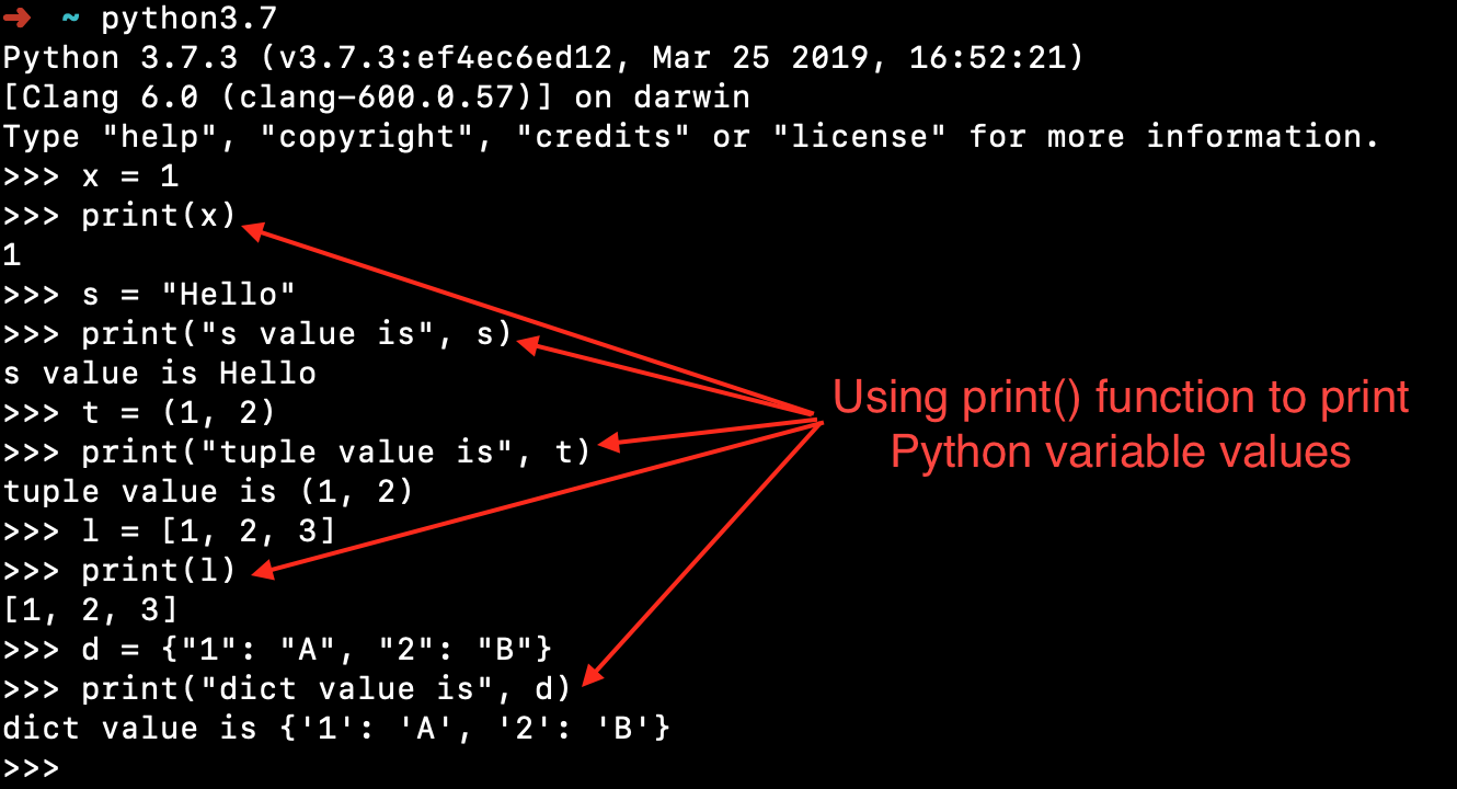 End t python. Пайтон Print. End в питоне. Value в питоне. Pprint Python.